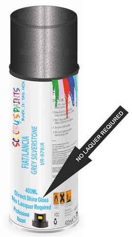 paint for FIAT/LANCIA DUCATO