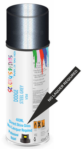 paint for Dodge 880
