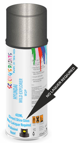 paint for Hyundai Santa Fe
