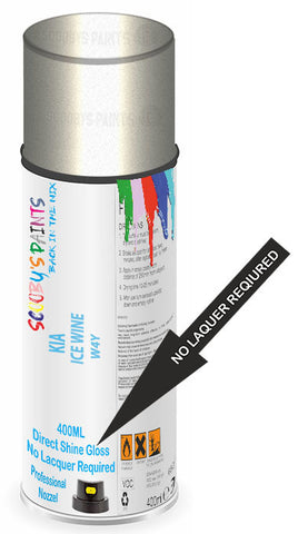 paint for Kia Rio X