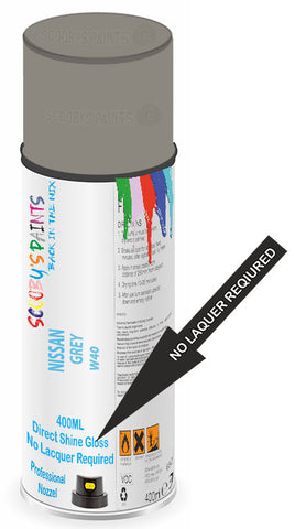 paint for Nissan X-Trail