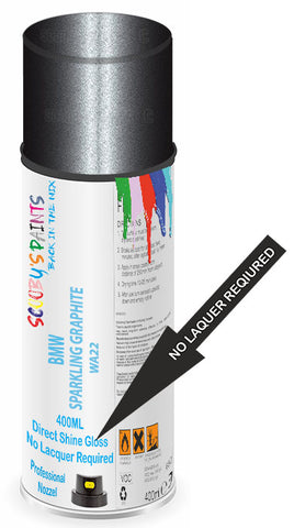 paint for Bmw X6