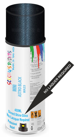 paint for Mini Park Lane
