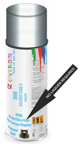 paint for Bmw X5