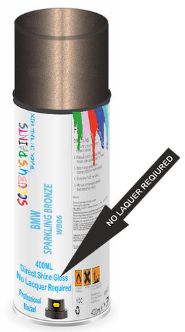 paint for Bmw X5