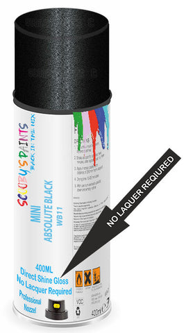 paint for Mini John Cooper Works Paceman All4
