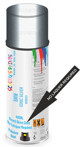 paint for Bmw C-Evolution