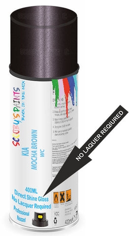 paint for KIA CARNIVAL II