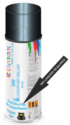paint for BMW 