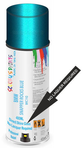 paint for Bmw M5