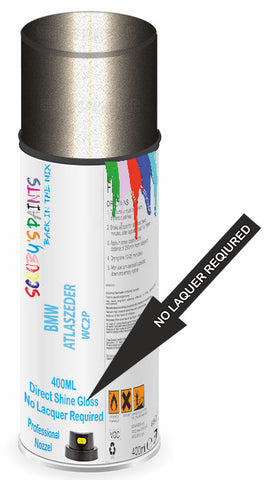 paint for Bmw Alpina