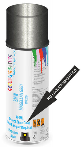 paint for Bmw Motorcycle