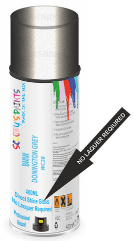 paint for BMW X6