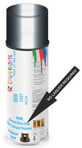 paint for BMW 