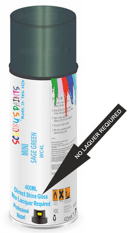 paint for Mini Cooper One First