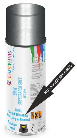 paint for Bmw X5