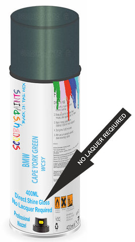 paint for Bmw X1