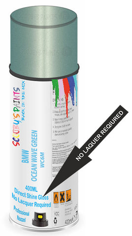 paint for BMW 