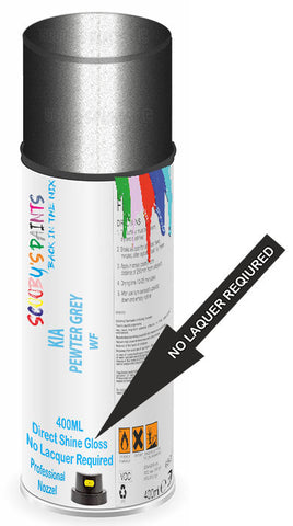 paint for Kia Borrego