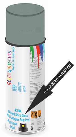 paint for Jeep Gladiator