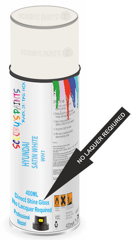 paint for HYUNDAI SANTRO XING