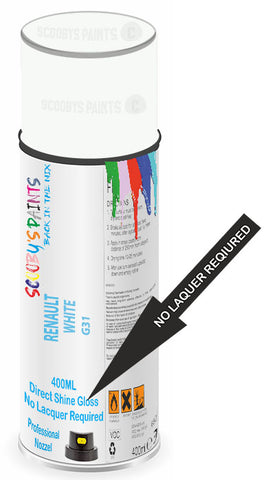 paint for Renault Master