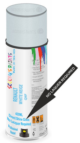 paint for Renault Twizy