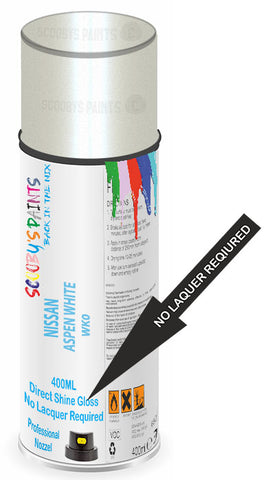 paint for NISSAN TERRA