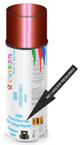 paint for Bmw M4