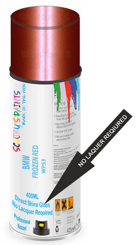 paint for Bmw M6