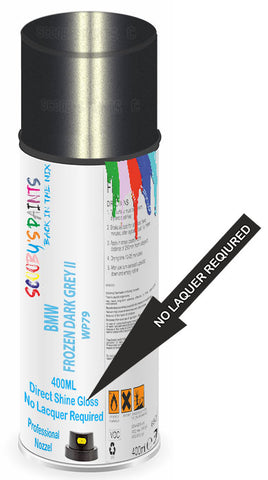 paint for Bmw M5