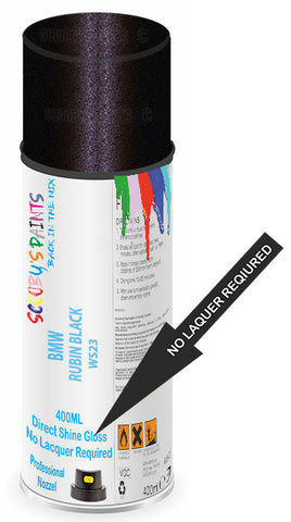 paint for Bmw X5