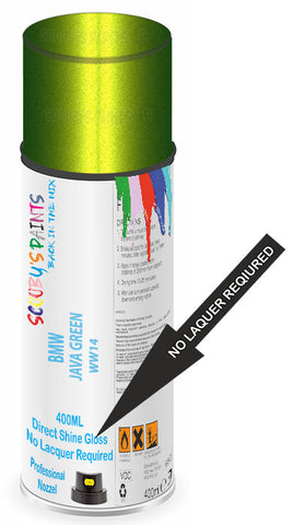paint for Bmw M5
