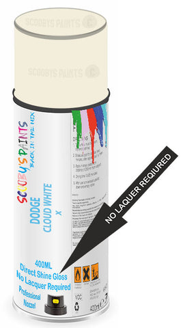 paint for Dodge 880