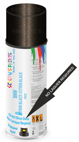 paint for Bmw Alpina