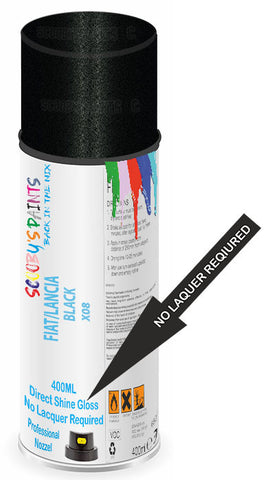 paint for Fiat Fullback