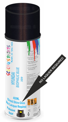 paint for Hyundai Ioniq 6