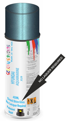 paint for Hyundai Sonata