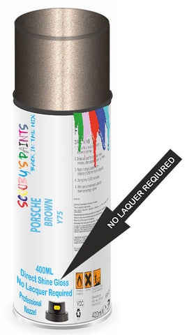 paint for Porsche 911