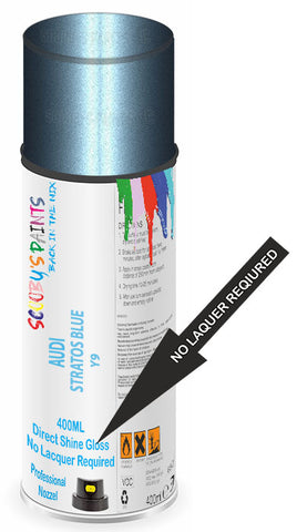 paint for AUDI A6