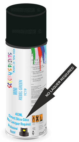 paint for MINI CABRIO