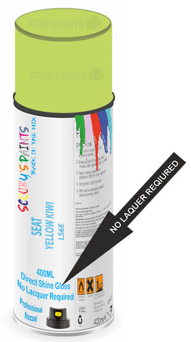 paint for Seat Arosa
