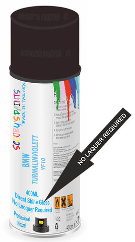 paint for Bmw M3