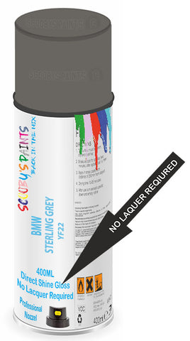 paint for Bmw M5