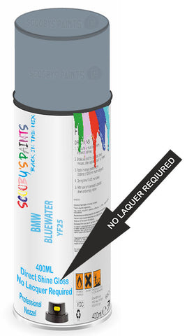 paint for BMW 
