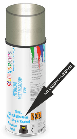 paint for HYUNDAI KONDA EV