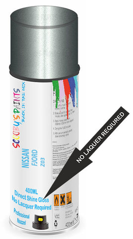 paint for Nissan Interstar