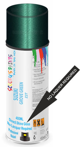paint for Suzuki Aerio