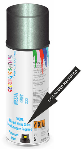 paint for Nissan King Cab