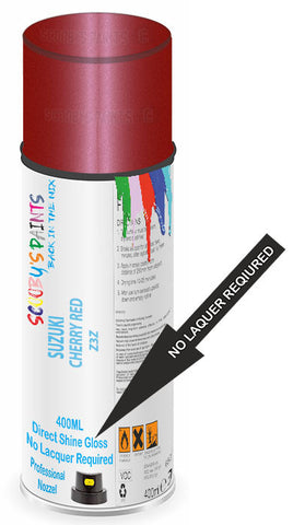 paint for Suzuki Alto